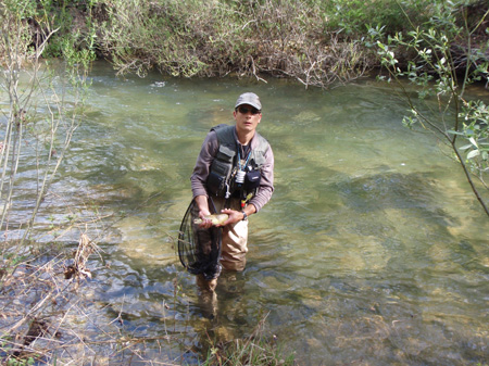 Rudron 2008